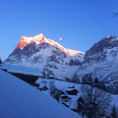 Hotel Sonnenberg Grindelwald Exterior photo